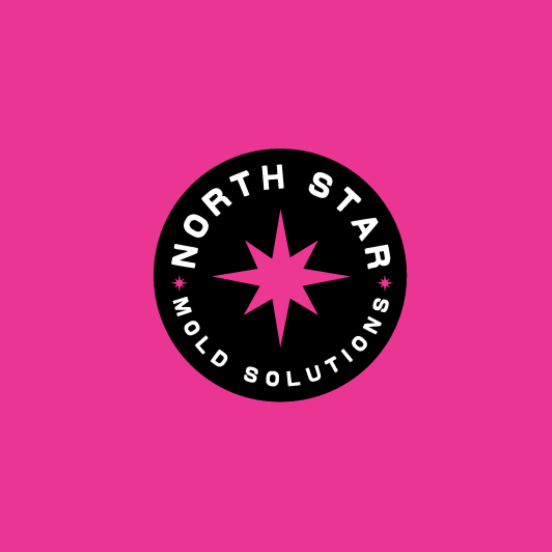 North Star Mold Solutions — badge mark