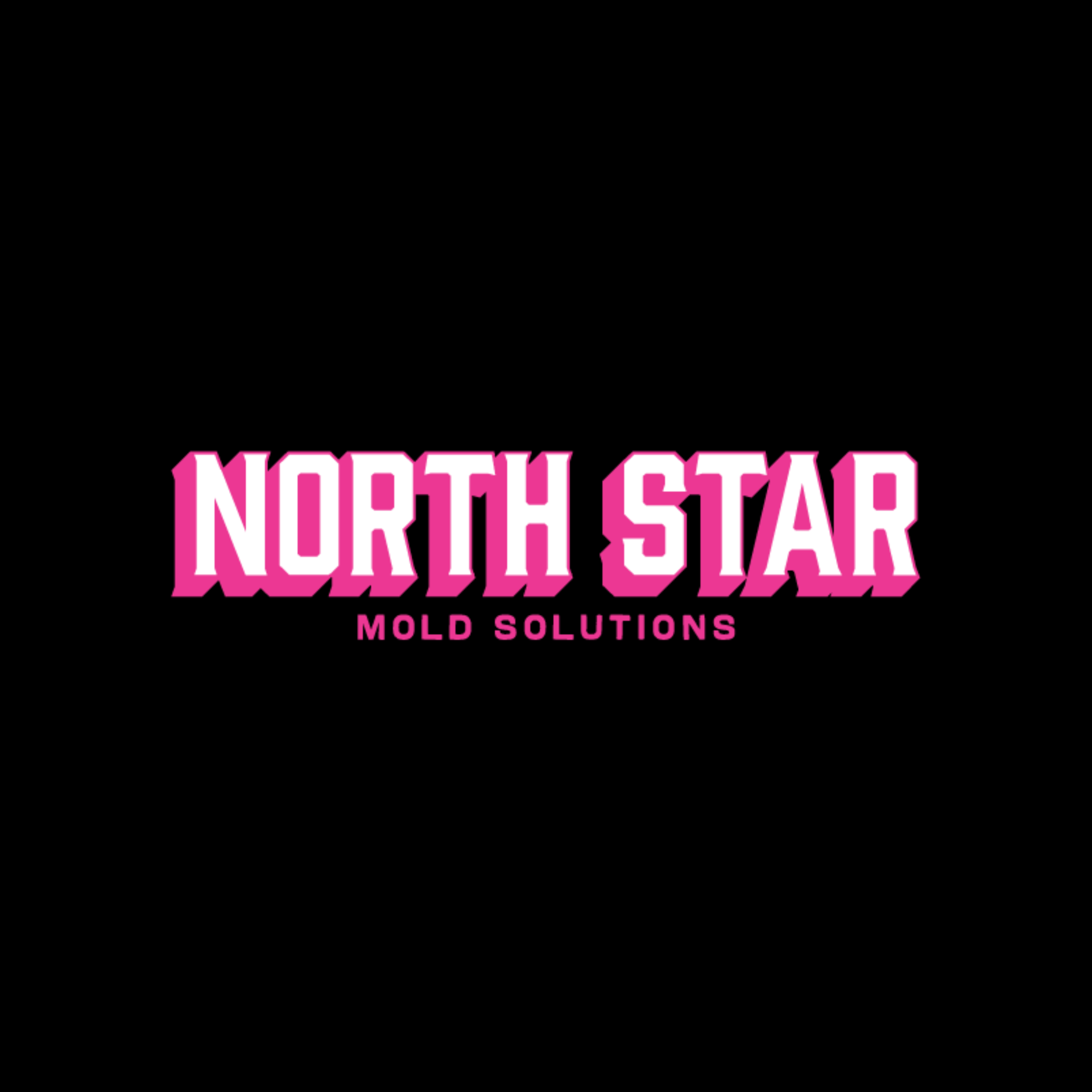 North Star Mold Solutions — brand identity